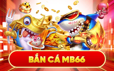 Mb66 16 banner-ban-ca-mb66