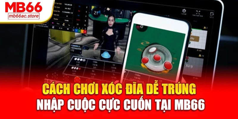 Cách Chơi Xóc Đĩa Dễ Trúng, Nhập Cuộc Cực Cuốn Tại Mb66 1 Cách Chơi Xóc Đĩa Dễ Trúng, Nhập Cuộc Cực Cuốn Tại Mb66