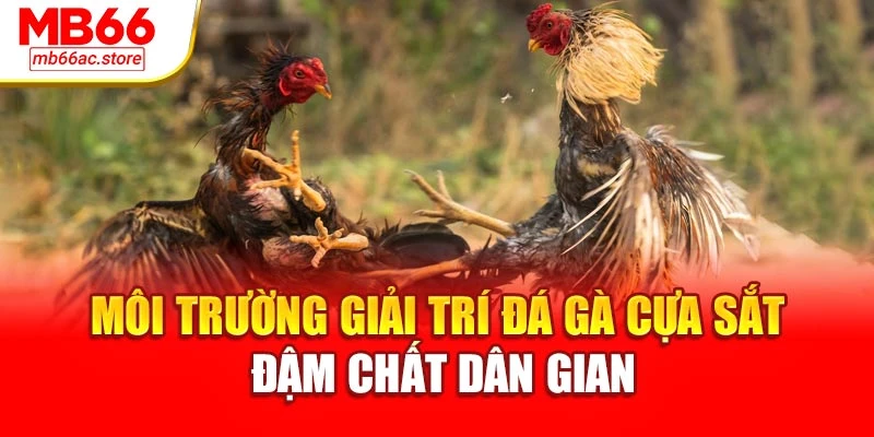 Đá Gà Cựa Sắt Kịch Tính Đỉnh Cao, Thắng Lớn Tại Mb66 2 Môi trường giải trí đá gà cựa sắt đậm chất dân gian