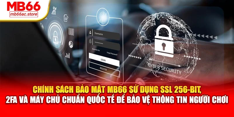 Chính Sách Bảo Mật MB66 – Bảo Vệ Thông Tin Người Dùng 2 Chính sách bảo mật MB66 sử dụng SSL 256-bit, 2FA và máy chủ chuẩn quốc tế để bảo vệ thông tin người chơi